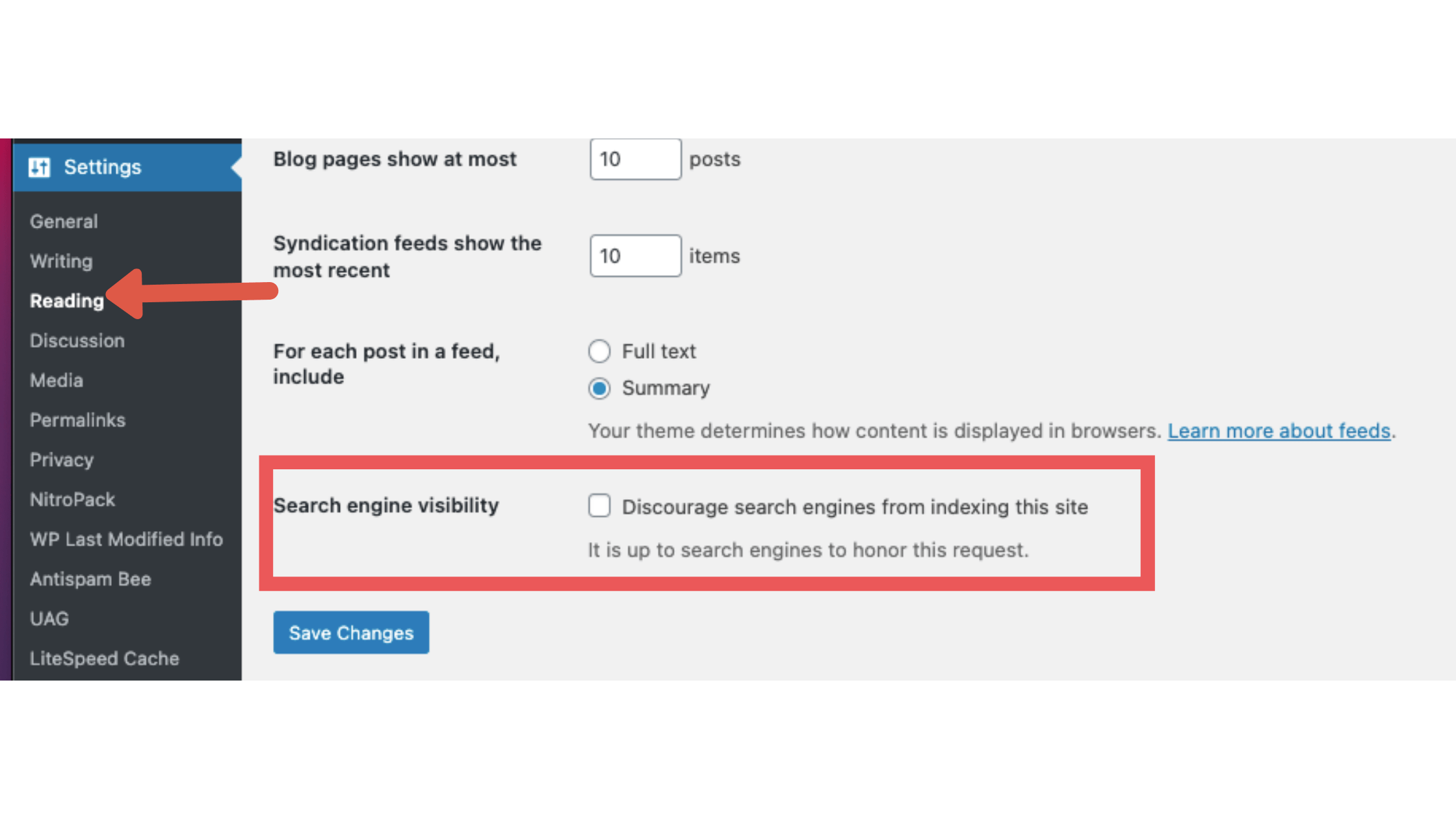 Steps before launching a website