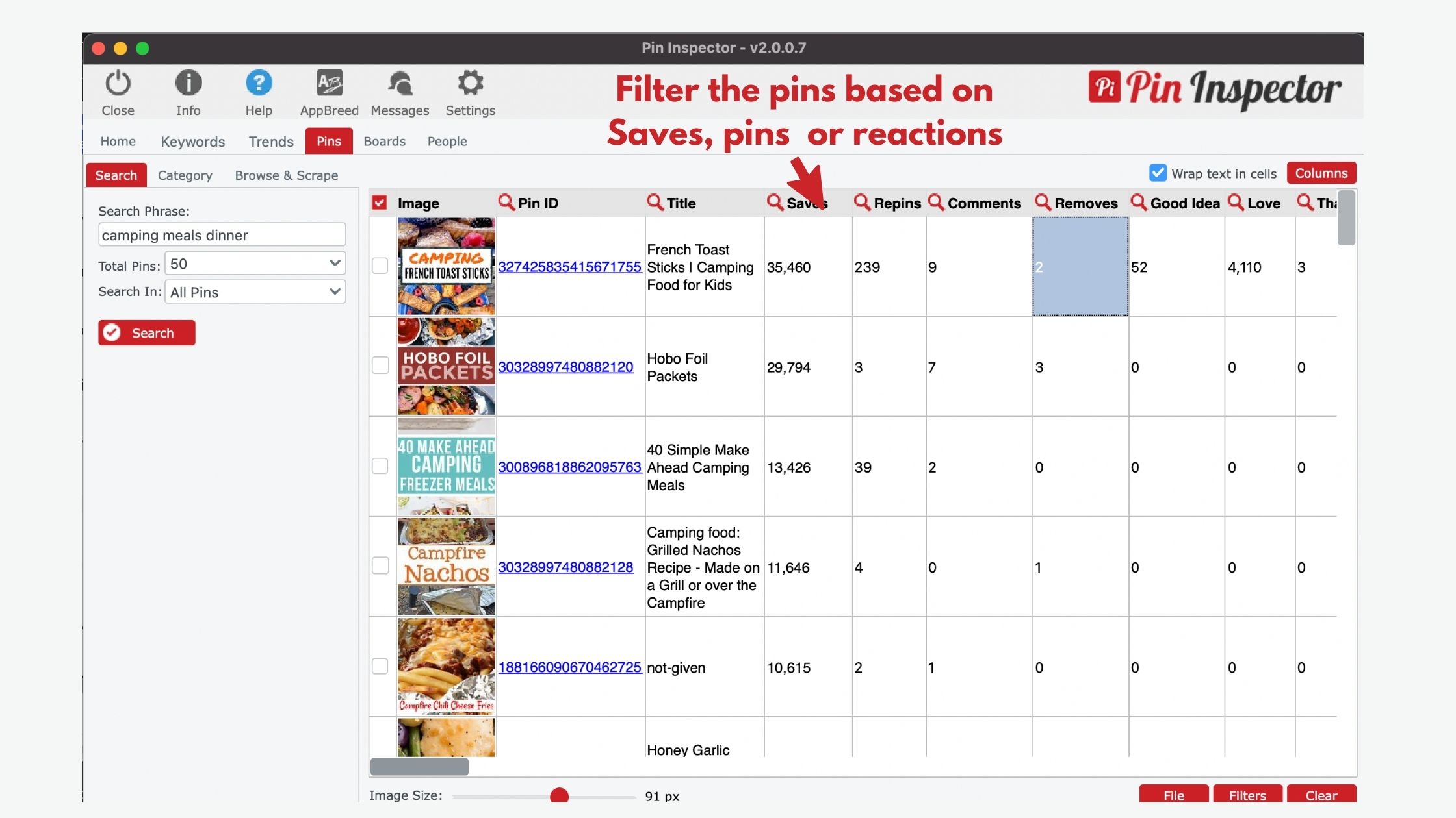 Pinterest pins search