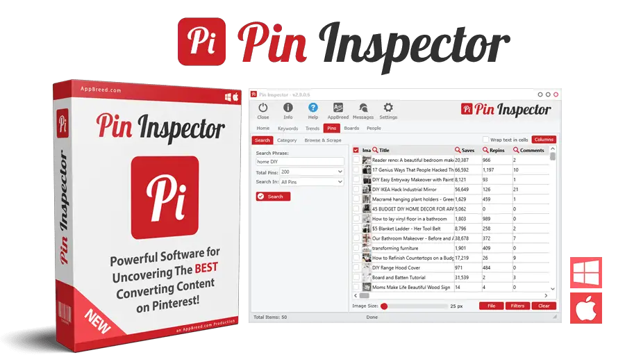 pin-inspector-review