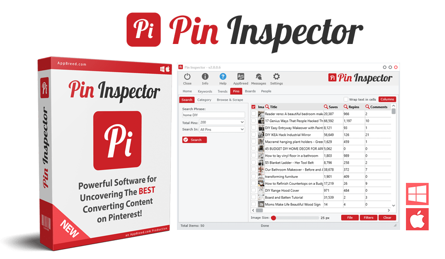 pin-inspector-review