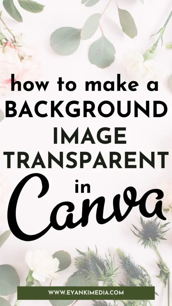 transparent background image in canva