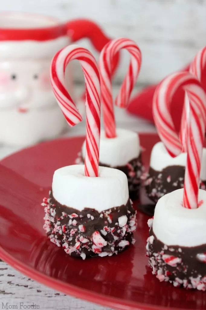 candy-cane-marshmallows-hot-cocoa