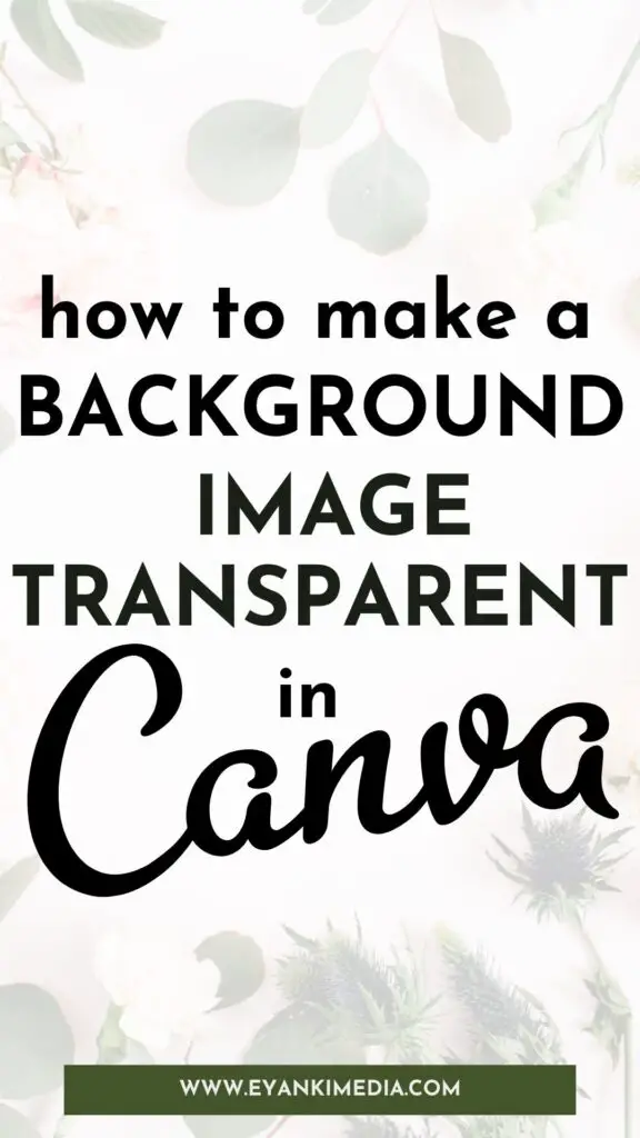 transparent image background in Canva