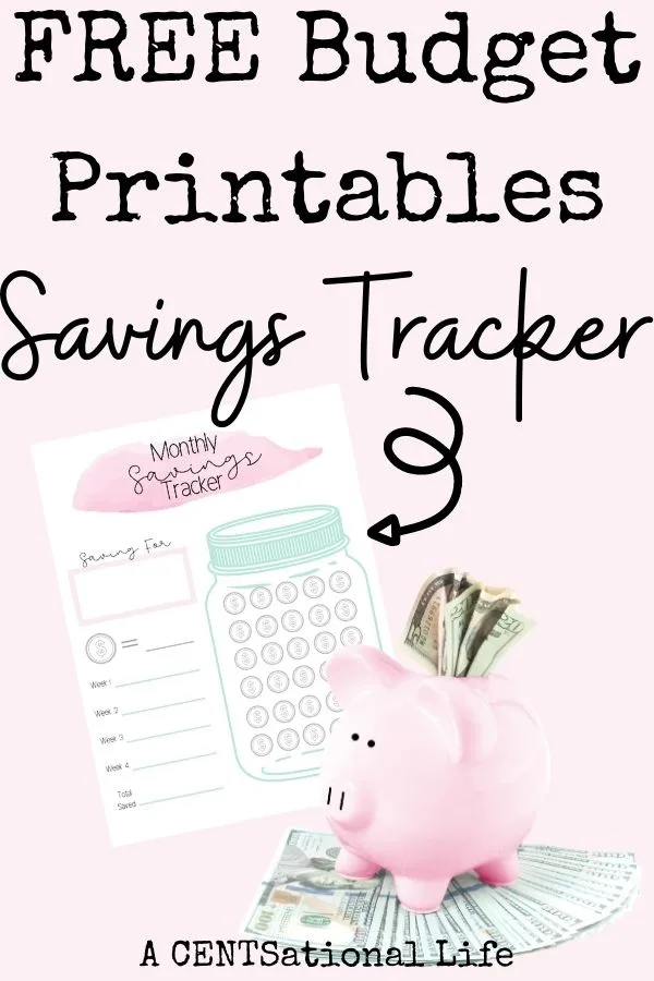 Free Budget Printables Monthly Budget Planner pdf by Acentsational life