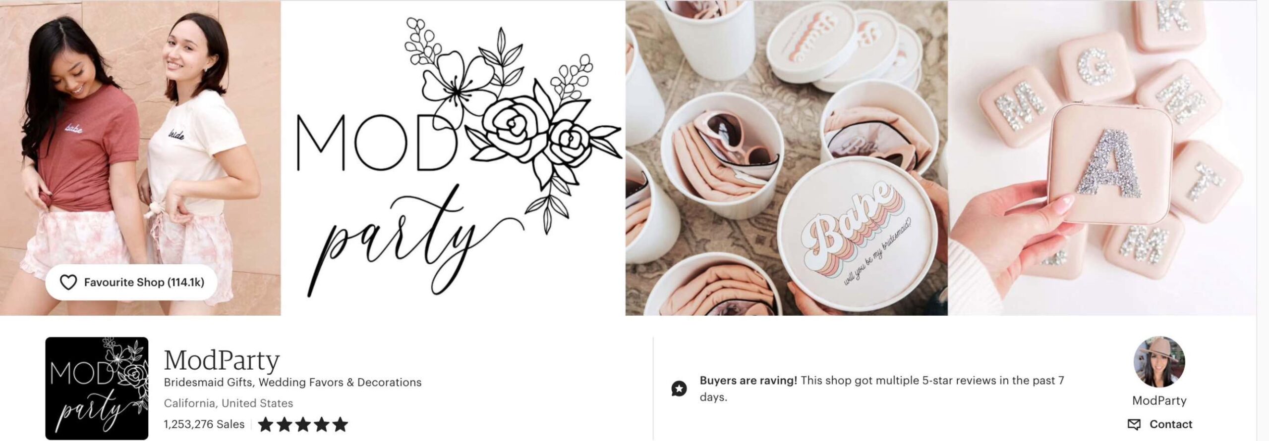 Etsy store banner idea with shop pictures