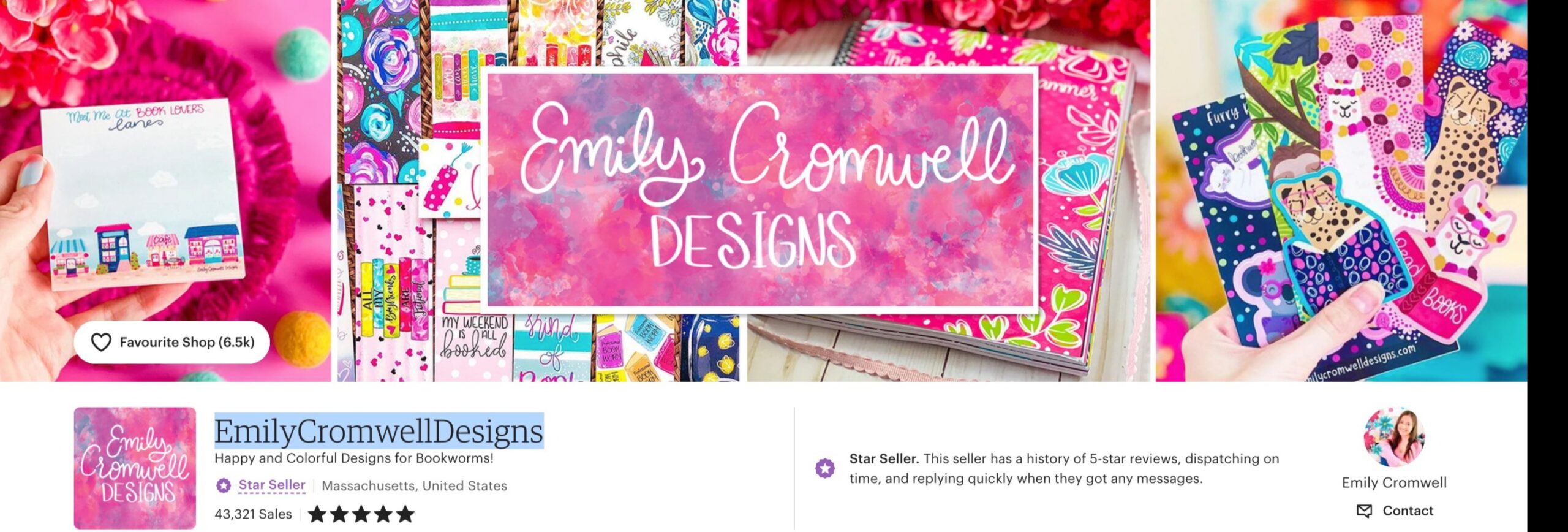 etsy shop banner example lively colors