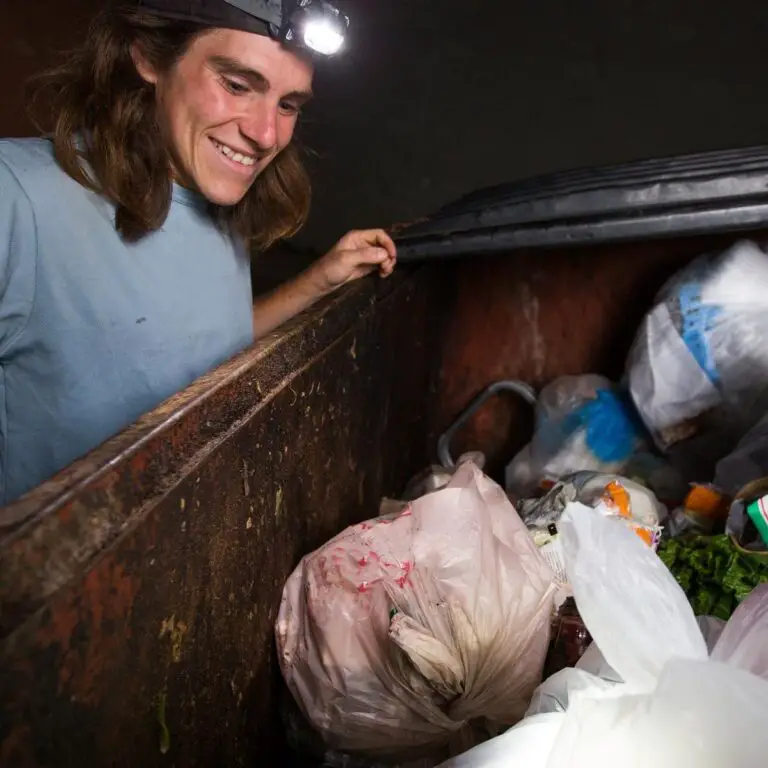 11 Best Stores For Dumpster Diving 2024 (Places Not To Miss)