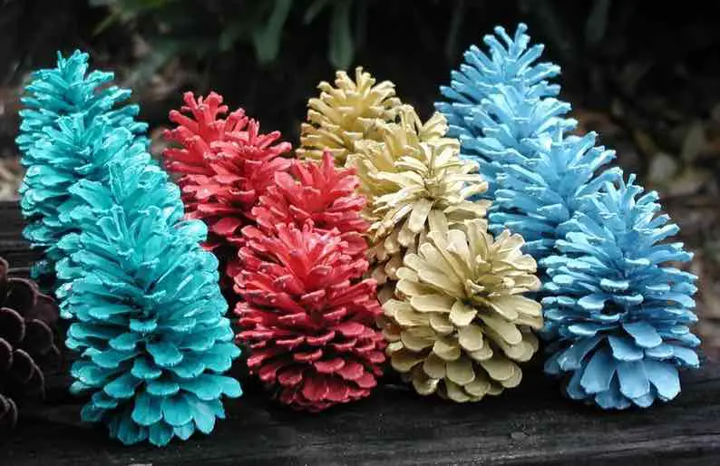 painted pinecones to sell
