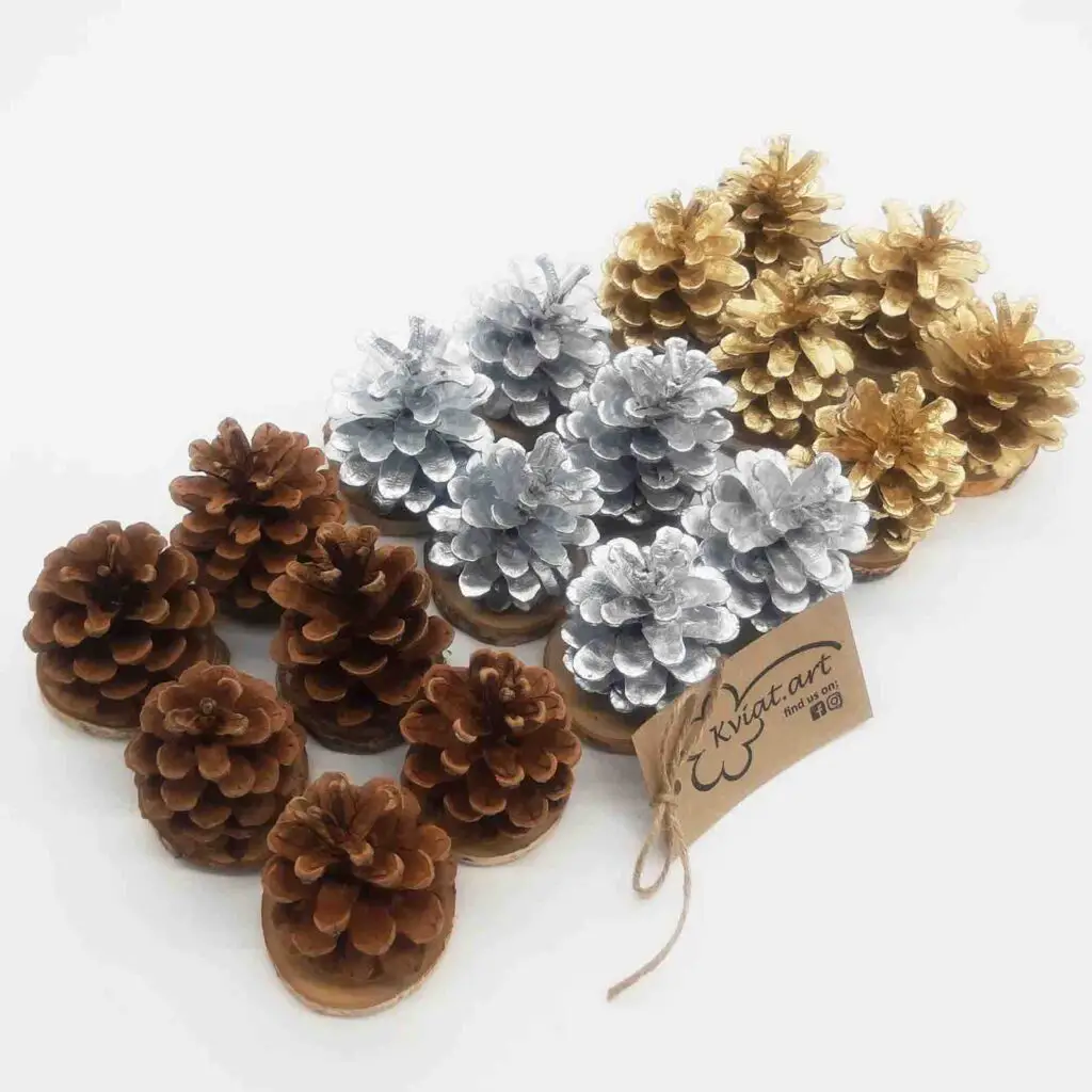 pinecone placecard holders