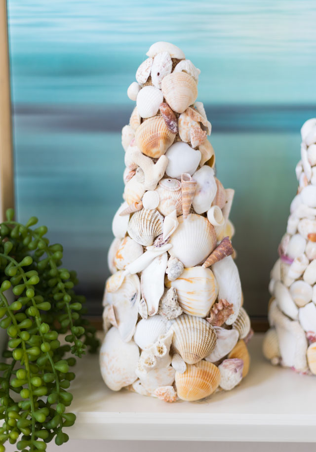 Seashell cones Seashell Crafts 