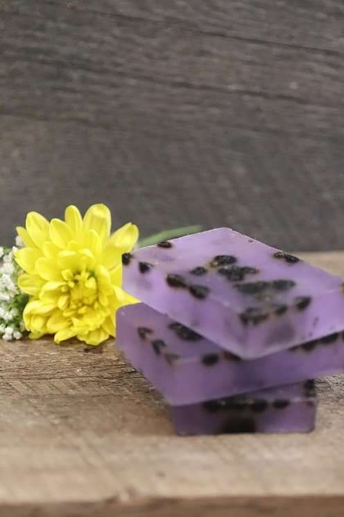 Dried Elderberries Soap
