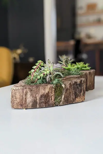 DIY Christmas Gifts for Coworkers DIY Succulent Planters